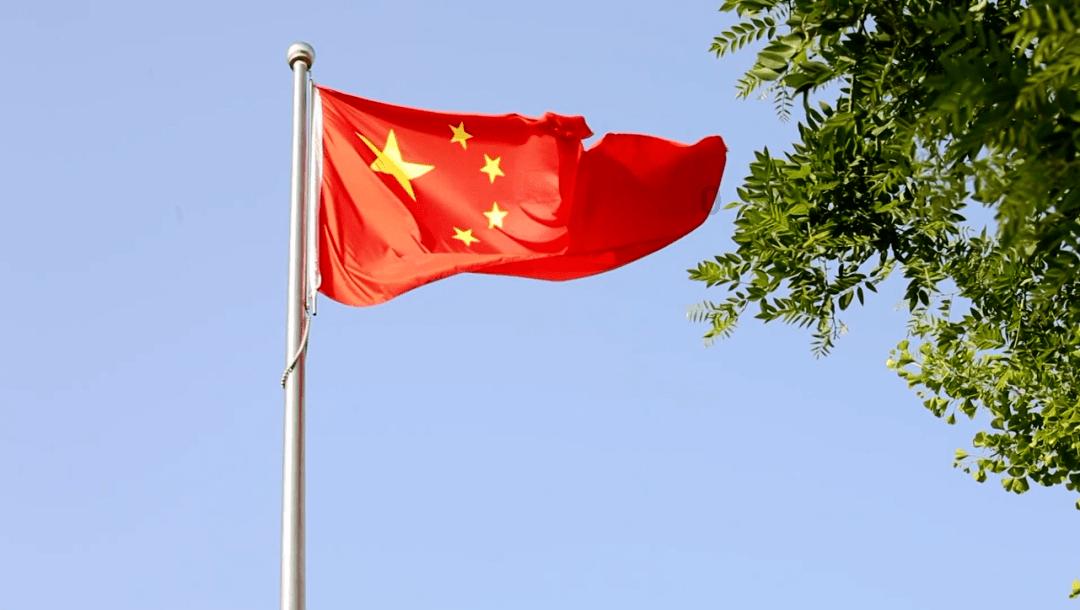 美妙森林找不同